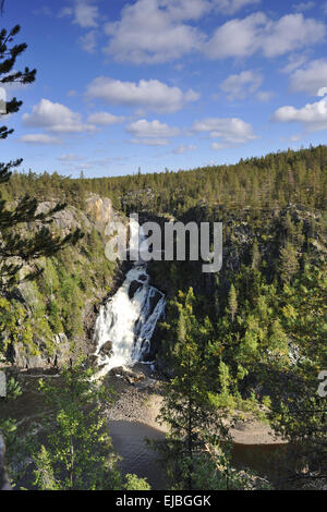 Parc national de Muddus Banque D'Images