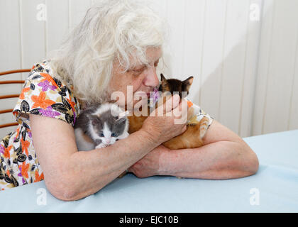 La grand-mère tenant trois chatons Banque D'Images