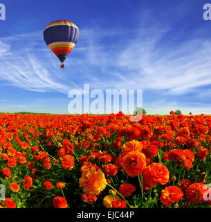 Kibbutz grand terrain Banque D'Images