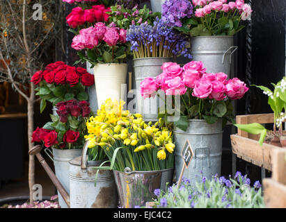 Roses, narcisses, jacinthes et autres fleurs de printemps au marché de Londres Banque D'Images