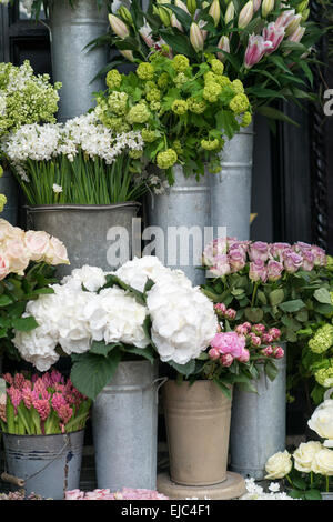 Fleurs de Printemps y compris lilas, Hydrangea, jacinthe, paperwhites, pivoines et roses dans des seaux de zinc au marché aux fleurs, Londres Banque D'Images