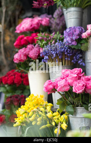 Roses, narcisses, jacinthes et autres fleurs de printemps au marché de Londres Banque D'Images