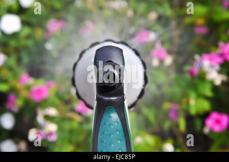 L'arrosage des plantes Close Up Banque D'Images