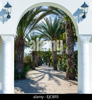 Arch porte sur le palm alley Banque D'Images