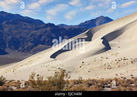 Une immense dune de sable au lever du soleil Banque D'Images