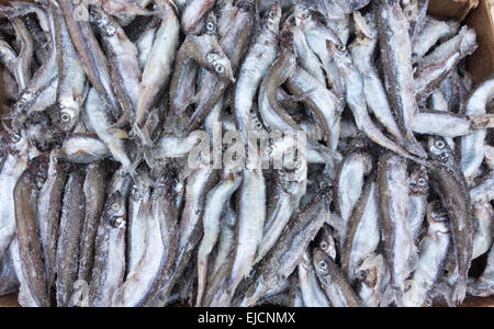 poisson de la carcasse Banque D'Images