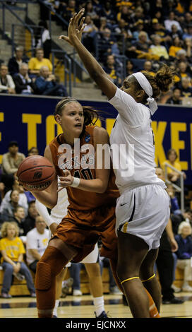 USA Berkeley CA. Mar 22, 2015. Texas C #  40 Kelsey Lang chercher un coéquipier ouvert après avoir été piège par Cal's #  21 Reshanda Gray lors du championnat NCAA de basket-ball des femmes Deuxième tour entre le Texas longhorns et California Golden Bears 73-70 gagner à Berkeley en Californie Pavillon Hass © csm/Alamy Live News Banque D'Images