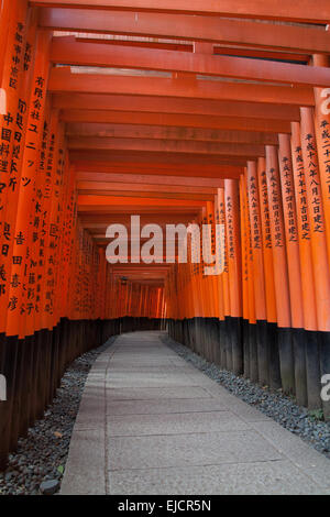 Portes Torii Orange au Sanctuaire Fushimi Inari Taisha à Kyoto, Japon Banque D'Images