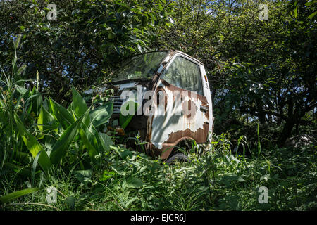 Rouillé abandonné petit mini pick up blanc en décomposition dans le milieu d'une forêt verte luxuriante Banque D'Images