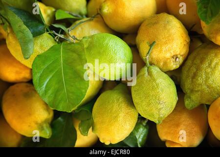 Quelques citrons dans une caisse en bois à vendre Banque D'Images