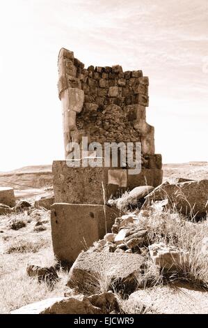 Death Cult tour grave Sillustani Pérou sepia Banque D'Images