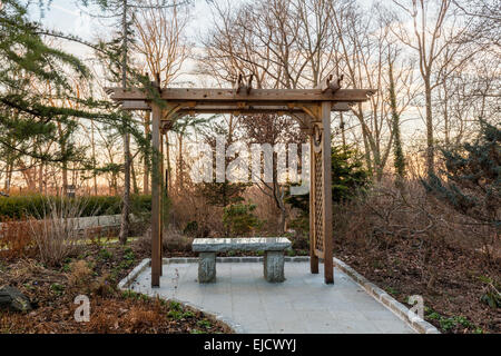 Arbor en bois en forêt avec siège en pierre Banque D'Images