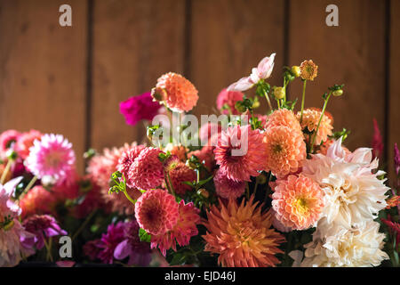 Bouquet de tiges de dahlias mixte Banque D'Images