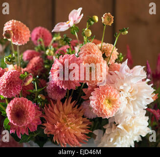 Bouquet de tiges de dahlias mixte Banque D'Images