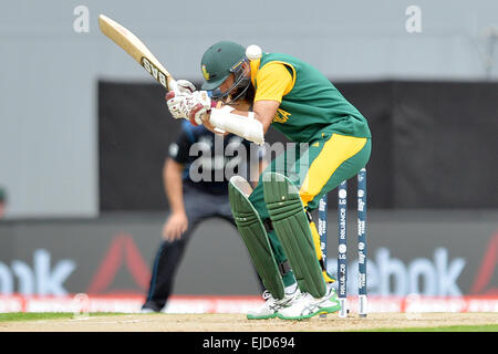 Auckland, Nouvelle-Zélande. 24Th Mar, 2015. Auckland, Nouvelle-Zélande - 24 mars 2015 - Hashim Amla de bâton de l'Afrique du Sud au cours de l'ICC Cricket World Cup Match entre la Nouvelle-Zélande et l'Afrique du Sud, à l'Eden Park le 24 mars 2015 à Auckland, en Nouvelle-Zélande. Photo : afp/Alamy Live News Banque D'Images