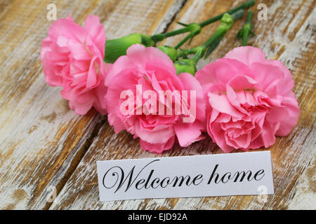 Bienvenue accueil carte avec fleurs oeillet rose Banque D'Images