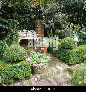 Buis taillés, faible en couverture petite ville pavée avec un jardin en fer forgé blanc siège sur zone pavée Banque D'Images