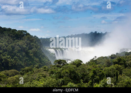 L'Argentine, Iguazu, vue lointaine de Garganta cascade el Diablo Banque D'Images