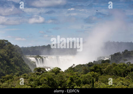 L'Argentine, Iguazu, vue à distance de chute d'el Diablo Garganta à travers les forêts tropicales Banque D'Images