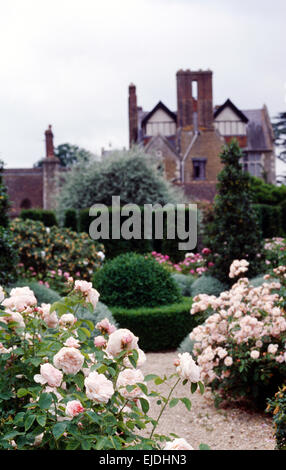 Rose rose buissons et haies coupées dans jardin de grande maison de campagne Banque D'Images