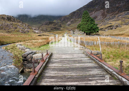 Un pont de bois passant sur un ruisseau de montagne sur le chemin Watkin près des ruines d'Plascwmllan. Banque D'Images