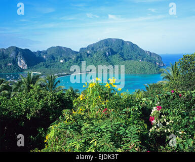 Vue panoramique de l'île du point d'observation, Ko Phi Phi Don, Thaïlande Banque D'Images