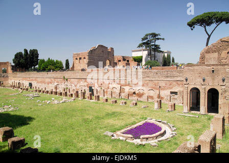 Stadio Domus Flavia sur la colline du Palatin, Rome Banque D'Images