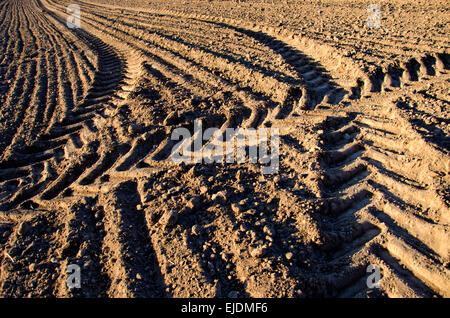 Des traces de tracteur agricole cultivée sur un sol agricole Banque D'Images