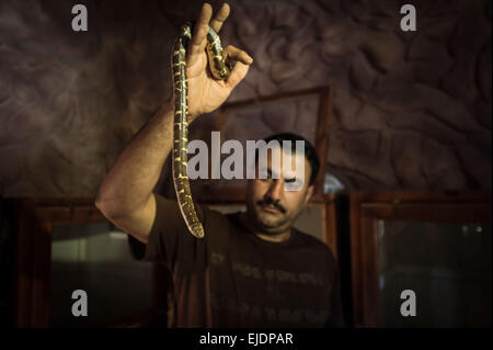 Giza, Egypte. 24Th Mar, 2015. Mamdouh Tolba montre un serpent à son domicile dans le village d'Abou Rawash à Gizeh, Province de l'ouest du Caire, Egypte, le 24 mars 2015. Le 37-year-old Mamdouh Tolba est un animal égyptien concessionnaire. Sa famille vit sur le commerce, la chasse et l'élevage des animaux pour les générations futures. Source : Xinhua/Chaoyue Pan/Alamy Live News Banque D'Images