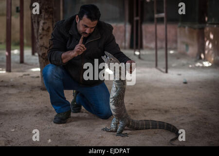 Giza, Egypte. 24Th Mar, 2015. Mamdouh Tolba forme un lézard géant à son domicile dans le village d'Abou Rawash à Gizeh, Province de l'ouest du Caire, Egypte, le 24 mars 2015. Le 37-year-old Mamdouh Tolba est un animal égyptien concessionnaire. Sa famille vit sur le commerce, la chasse et l'élevage des animaux pour les générations futures. Source : Xinhua/Chaoyue Pan/Alamy Live News Banque D'Images