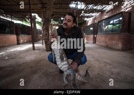 Giza, Egypte. 24Th Mar, 2015. Mamdouh Tolba forme un lézard géant à son domicile dans le village d'Abou Rawash à Gizeh, Province de l'ouest du Caire, Egypte, le 24 mars 2015. Le 37-year-old Mamdouh Tolba est un animal égyptien concessionnaire. Sa famille vit sur le commerce, la chasse et l'élevage des animaux pour les générations futures. Source : Xinhua/Chaoyue Pan/Alamy Live News Banque D'Images