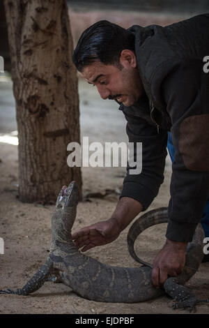 Giza, Egypte. 24Th Mar, 2015. Mamdouh Tolba forme un lézard géant à son domicile dans le village d'Abou Rawash à Gizeh, Province de l'ouest du Caire, Egypte, le 24 mars 2015. Le 37-year-old Mamdouh Tolba est un animal égyptien concessionnaire. Sa famille vit sur le commerce, la chasse et l'élevage des animaux pour les générations futures. Source : Xinhua/Chaoyue Pan/Alamy Live News Banque D'Images