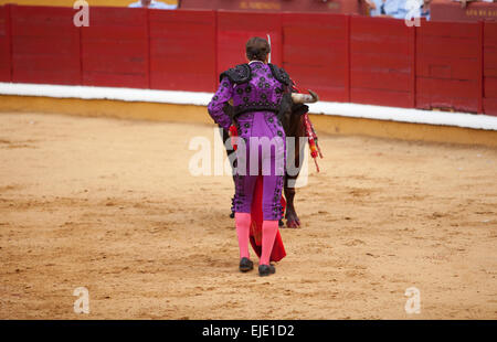 Troisième mort. Moment où le torero tue un taureau avec l'épée Banque D'Images