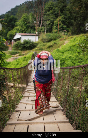 Porter une femme à Pokhara, Népal Banque D'Images