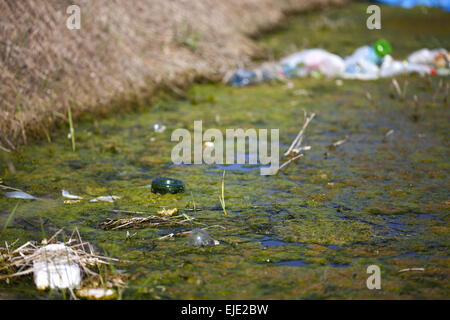 Rivière polluée avec un accent sur l'eau verte et une bouteille en c Banque D'Images