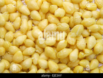 Sweet Ginkgo, dessert traditionnel chinois Banque D'Images