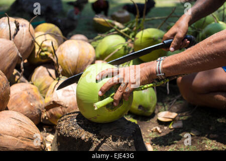 Vue d'un homme de l'ouverture de noix de coco. Banque D'Images