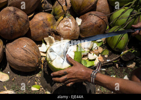 Vue d'un homme de l'ouverture de noix de coco. Banque D'Images