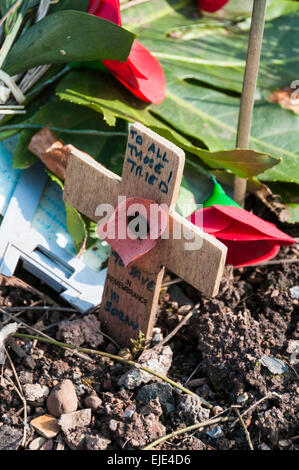 Message personnel poignant écrit sur une croix en bois à côté de coquelicots à un monument de guerre dans Northernhay Gardens Exeter Banque D'Images