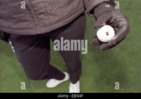 Thousand Oaks, CA - 29 février : balle de golf playboy utilisé dans la Classique de golf de Pete Sampras à Thousand Oaks, Californie le 29 février 2000. Banque D'Images