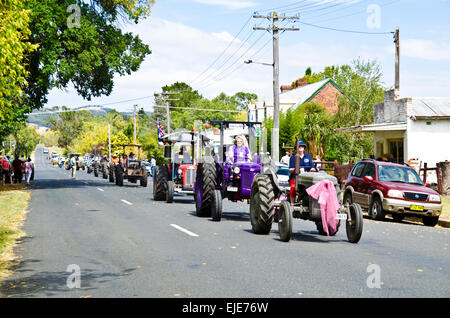 D'abord gris 140 tracteurs Ferguson dans le 5ème Examen triennal Bendemeer Australian Grey Fergie Muster Grand Parade Mars 2015 Banque D'Images