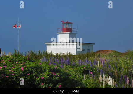 Grand Passage phare situé sur la pointe nord de l'île Brier, en Nouvelle-Écosse, Canada. Banque D'Images