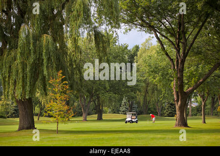 Seul un tir golfeur golf sur Banque D'Images