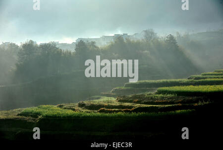 Cuozaoshan. 24Th Mar, 2015. Photo prise le 24 mars 2015 présente le matin, décor d'Jiapeng Ville de Jixi, comté de la Chine de l'est la province d'Anhui. © Xu Zhenhua/Xinhua/Alamy Live News Banque D'Images