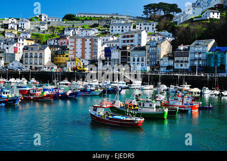 Luarca est la principale ville dans la municipalité de Valdés dans les Asturies, Espagne Banque D'Images