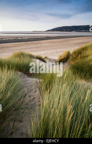 Soir paysage estival sur les dunes de sable sur plage Banque D'Images