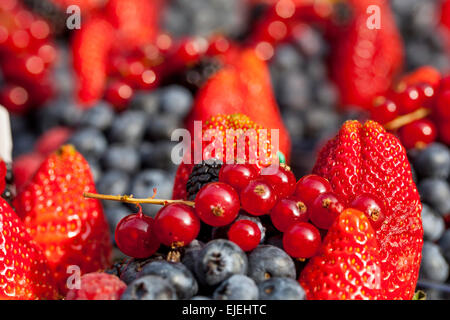 Fraises, myrtilles gros plan baies de texture fruits Banque D'Images