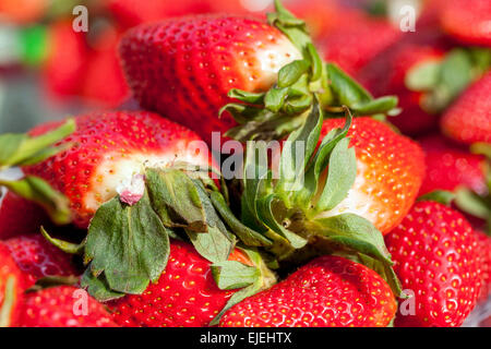 Fraises gros plan fruits de fraise fruits doux, exposition Banque D'Images