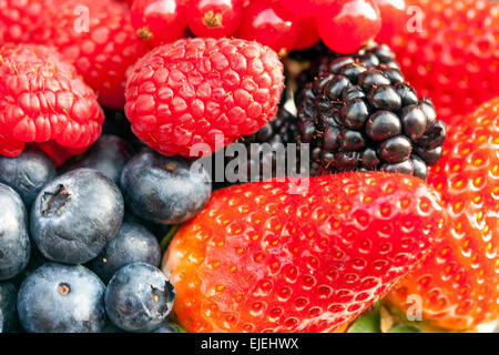 Mûres, framboises, fraises, bleuets gros plan sur la texture DeliciousFruits baies juteuses Banque D'Images