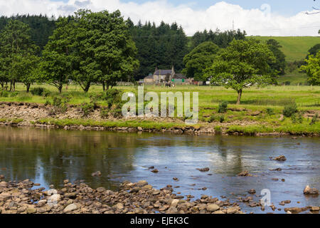 La rivière South Tyne près d'une ferme dans la campagne de basse altitude du sud Tyne Valley dans le Northumberland. Banque D'Images